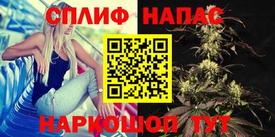 эйфоретик Славгород