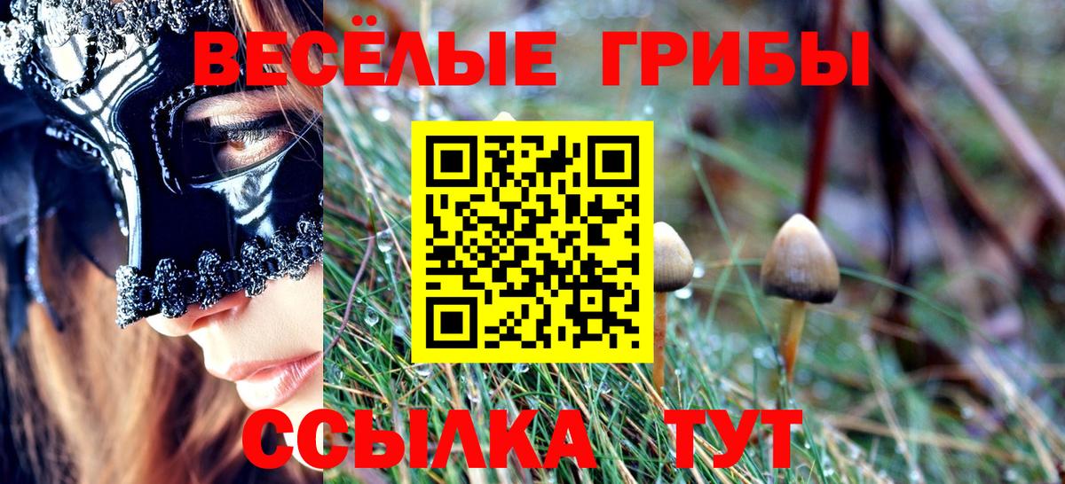 Галлюциногенные грибы Magic Shrooms Тамбов