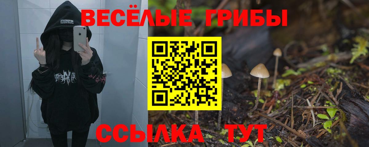 Псилоцибиновые грибы прущие грибы  Вход с VPN  Тамбов 